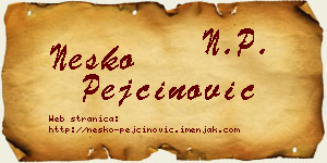 Neško Pejčinović vizit kartica